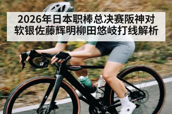 2026年日本职棒总决赛阪神对软银佐藤辉明柳田悠岐打线解析